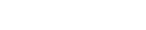 Vin Smart Future